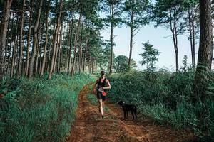 BIB: 
                            <button type="button" onclick="openModal(25652069)" class="btn btn-primary btn-sm float-right btn-popup" data-toggle="modal" data-target=".modal-high-quality">
                        <i class="fas fa-shopping-cart"></i> Add to Cart
                    </button>
                                            <button type="button" onclick="isThisMe(25652069, true)" class="btn btn-success btn-sm float-right btn-popup btn-isme hidden" data-toggle="tooltip" data-placement="bottom" title="นี่คือรูปของคุณใช่ไหม คลิกที่นี่เพื่อเอาเข้าอัลบั้ม">
                        <i class="fas fa-plus"></i> Add to album
                    </button>
                    <button type="button" onclick="isThisMe(25652069, false)" class="btn btn-warning btn-sm float-right btn-popup btn-isnotme hidden">
                        <i class="fas fa-ban"></i> Remove from album
                    </button>